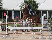 Bertolucci Victory Prins CsioArJYR SS7 7277 : Bertolucci Lorenzo, CSIO Giovani Arezzo, Victory Prins, foto Stefano Secchi ©